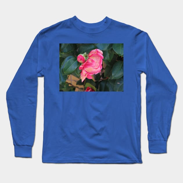 Camellia coming into bloom Long Sleeve T-Shirt by FriendlyComputerHelp